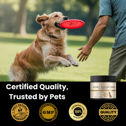 Allergy Support Chew
