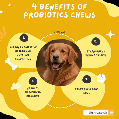 Probiotics Chews