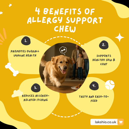 Allergy Support Chew